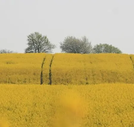 Leibers Galerie-hotel 3*